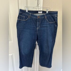 Lane Bryant Dark Indigo Straight Leg Jeans